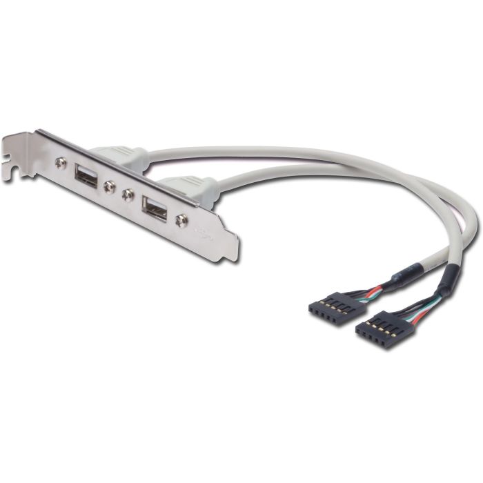 Digitus Cable USB Slot Bracket para PC con 2 Puertos Tipo A externos, conexión Placa Base 2x5 pines IDC, 0.25m, USB 2.0 480 Mbps