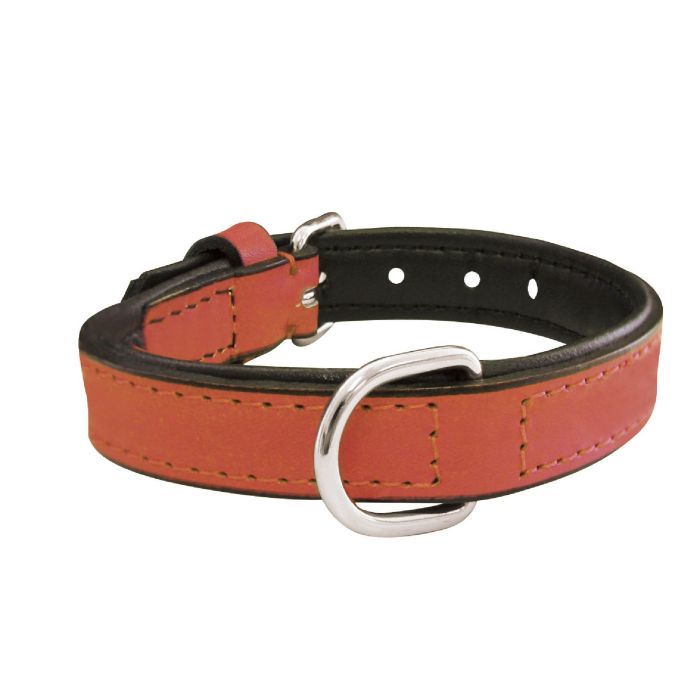 Collar Piel Acolchado 30 cm X 15 mm Coral 5 Collar Piel Acolchado 30 cm X 15 mm Coral 5