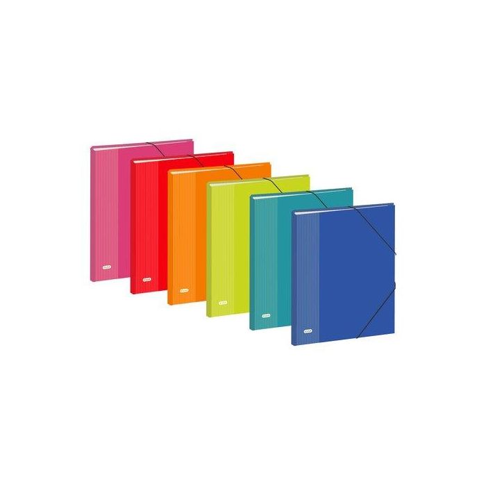 Elba Clasificador Elbacolor 12 Separadores Folio C-Solapa Y Gomas Cartón Forrado Colores Surtidos