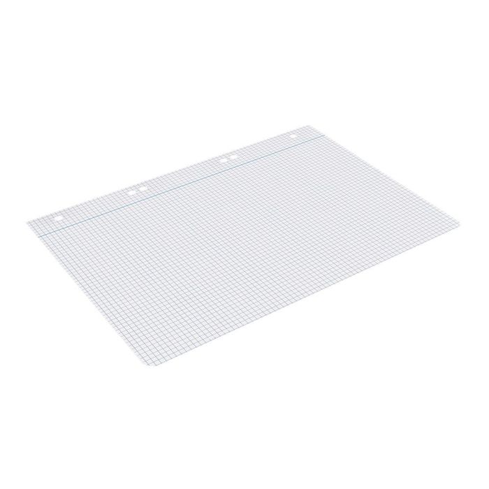 Recambio Liderpapel Cuarto 100 Hojas 60 gr-M2 Cuadro 4 mm Con Margen 6 Taladros 6