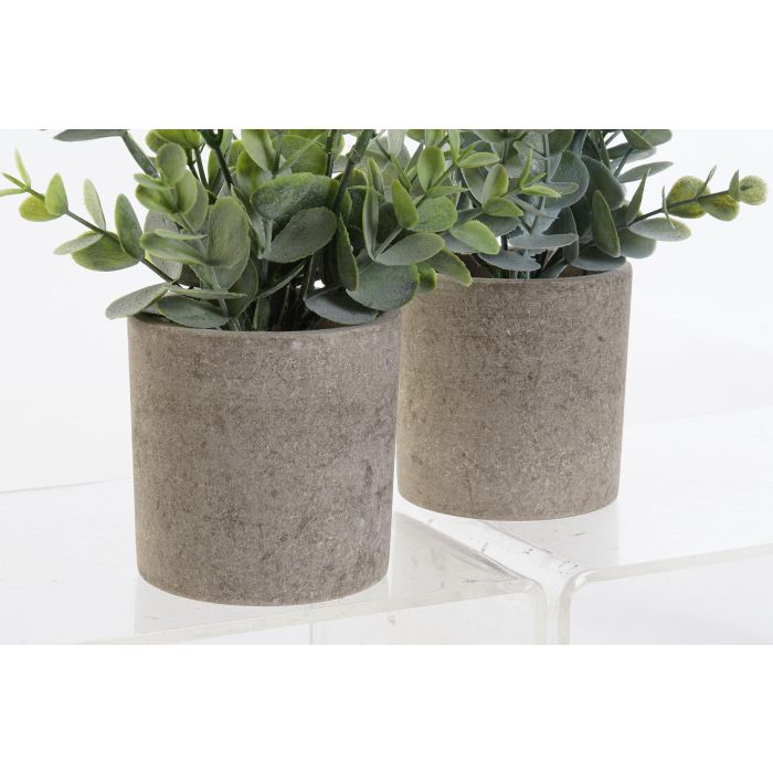 Planta DKD Home Decor Verde Verde Musgo 11 x 24 x 11 cm (12 Unidades) 1