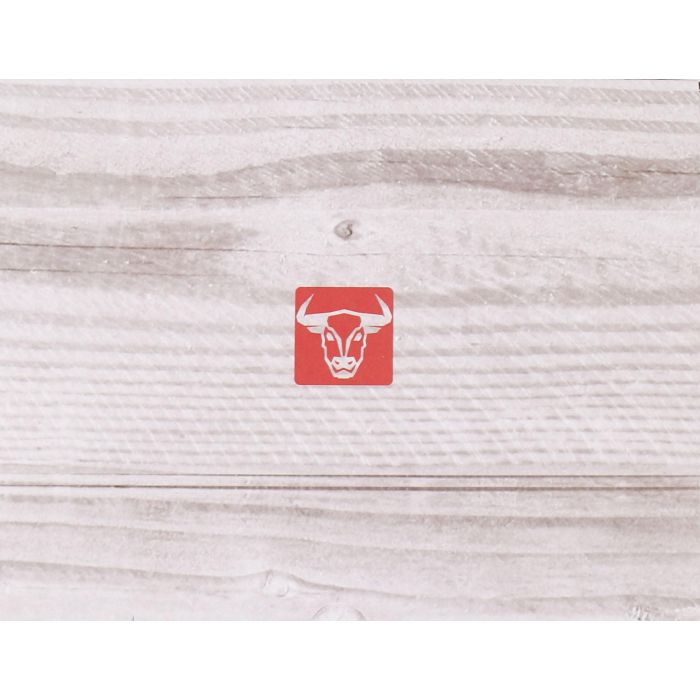 Quttin Exprimidor de Zumo Inoxidable, 13 x 37 x 18.5 cm (6 Unidades) 3