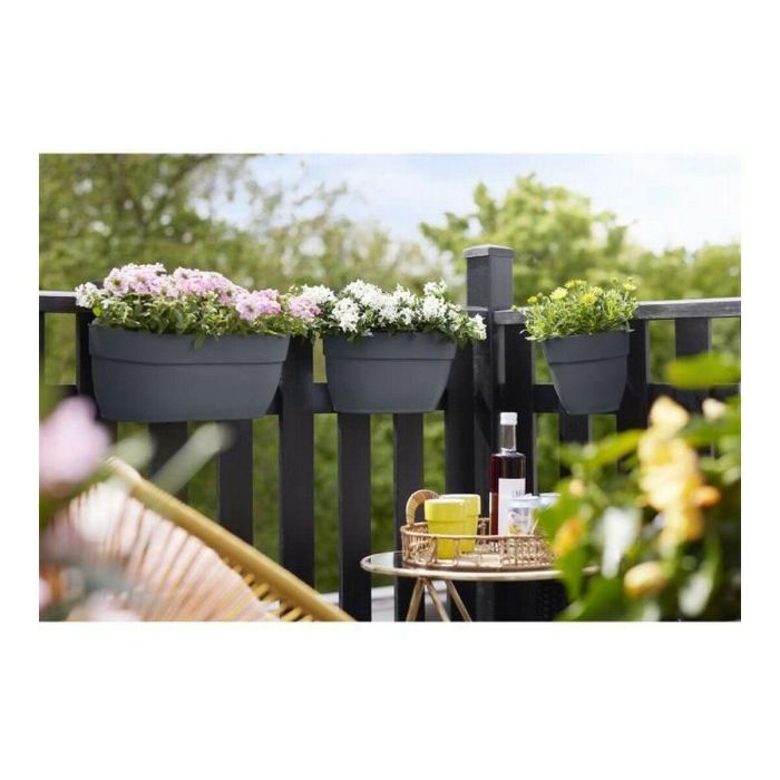 Elho Maceta Vibia Campana Easy Hanger Large Antracita Balcón Exterior L 24,1 x P 46 x H 26,5 cm 3