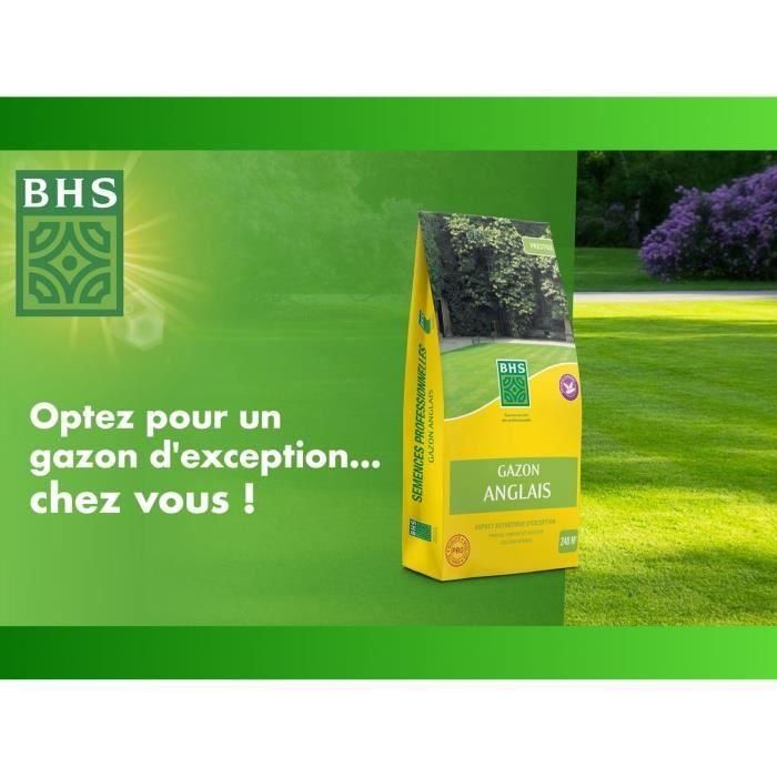 Césped inglés BHS - 5 kg para jardines de alta gama 2 Césped inglés BHS - 5 kg para jardines de alta gama 2