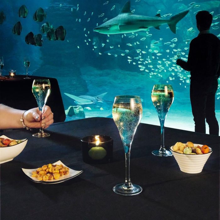 Bol Porcelana Appetizer Filet Arcoroc 9,5 cm (6 Unidades) 3 Bol Porcelana Appetizer Filet Arcoroc 9,5 cm (6 Unidades) 3