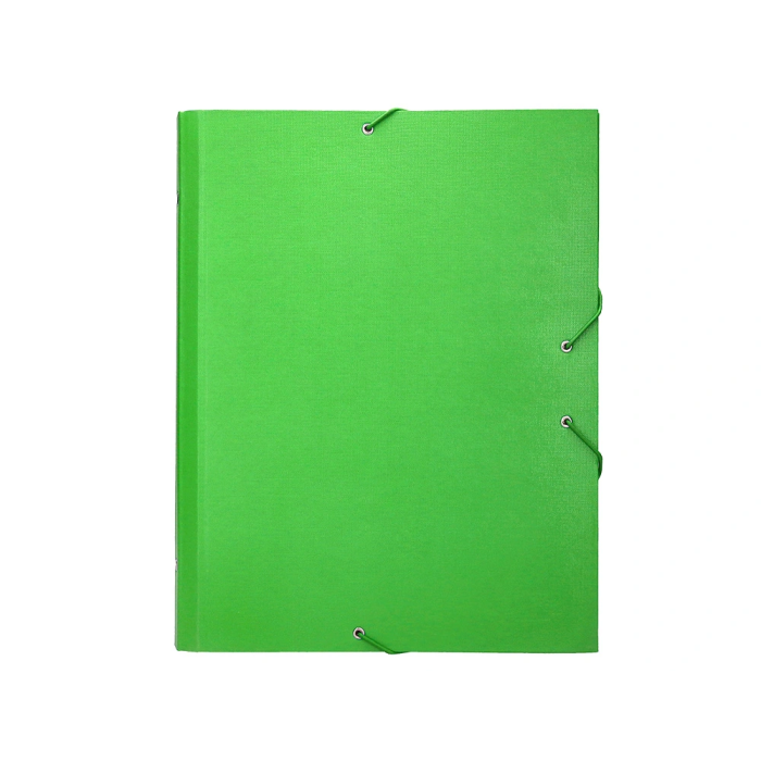Liderpapel Carpeta Clasificadora Folio Prolongado Verde Claro 12 Departamentos Cartón Forrado 7