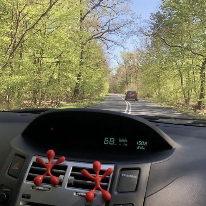 Ambientador para Coche Dr Marcus Lucky Top Frutos rojos Plástico Colgante (12 Unidades) 1 Ambientador para Coche Dr Marcus Lucky Top Frutos rojos Plástico Colgante (12 Unidades) 1