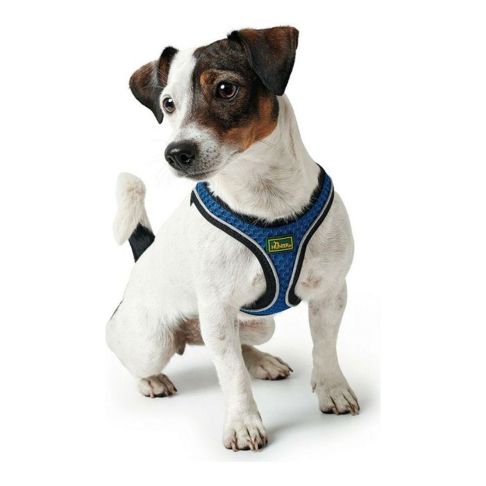 Hunter Arnés Hilo Comfort Talla XS Cuello 35-37cm Pecho 36-40cm Azul Malla 3D Ligero Transpirable Reflectante para Perro 1 Hunter Arnés Hilo Comfort Talla XS Cuello 35-37cm Pecho 36-40cm Azul Malla 3D Ligero Transpirable Reflectante para Perro 1