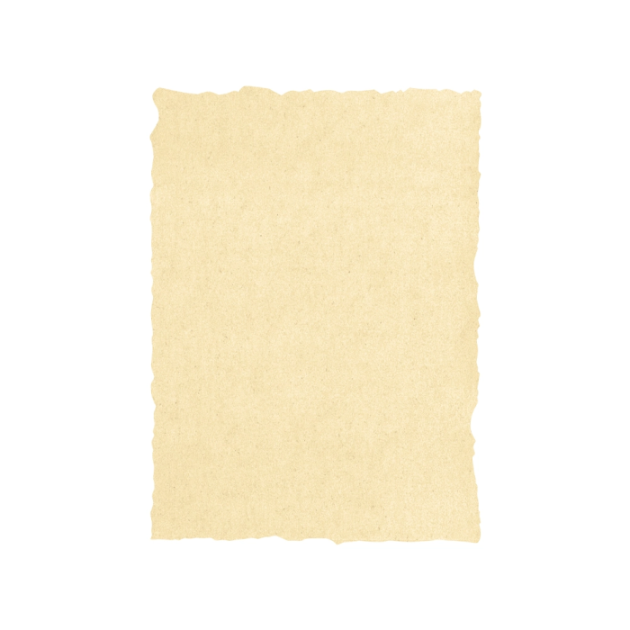 Michel Pergamino Troquelado 160 gr A4 Pack 25 Unidades Crema 1