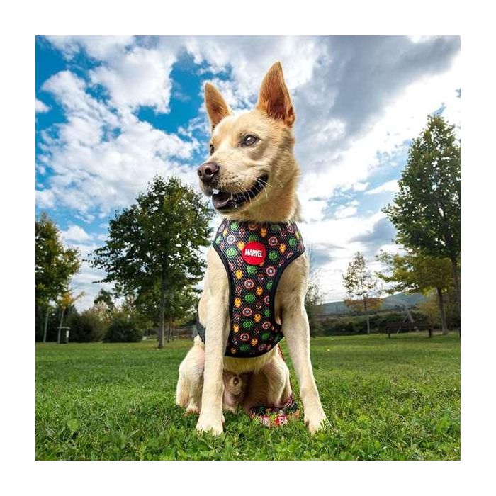 Cerdá t2XS:XS/s Arnés para Perros Marvel Talla XS-S Rojo 3 Cerdá t2XS:XS/s Arnés para Perros Marvel Talla XS-S Rojo 3