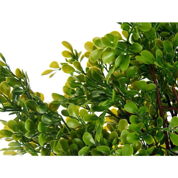 Arbol Helecho Verde Surtidos Ibergarden 35X96CM (3 Unidades) 2 Arbol Helecho Verde Surtidos Ibergarden 35X96CM (3 Unidades) 2