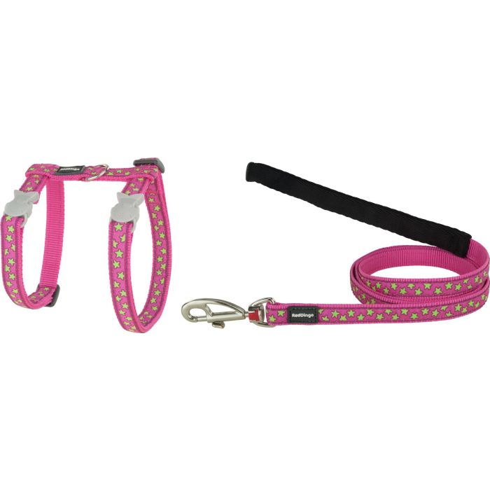 Red Dingo Arnés y Correa para Gato Ajustable Rd Style Lime On Hot Pink 12mm - Nylon - Cuello 21-35cm, Cuerpo 27-48cm