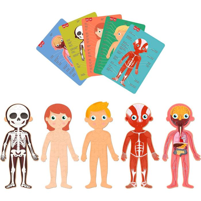 Apli Kids R.19438 Puzle Cuerpo Humano 240 Piezas 1