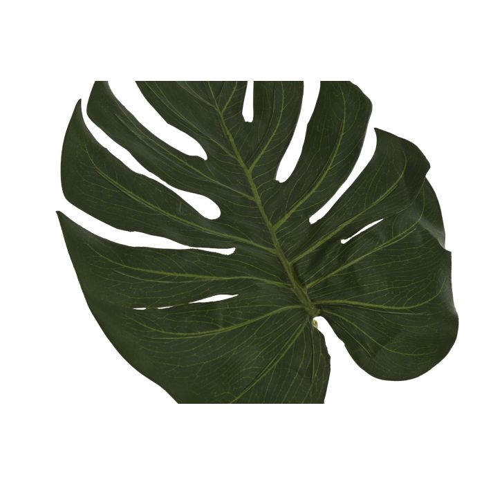 Hoja Tropical DKD Home Decor Verde 0.5 x 67 x 25 cm (12 Unidades) 1