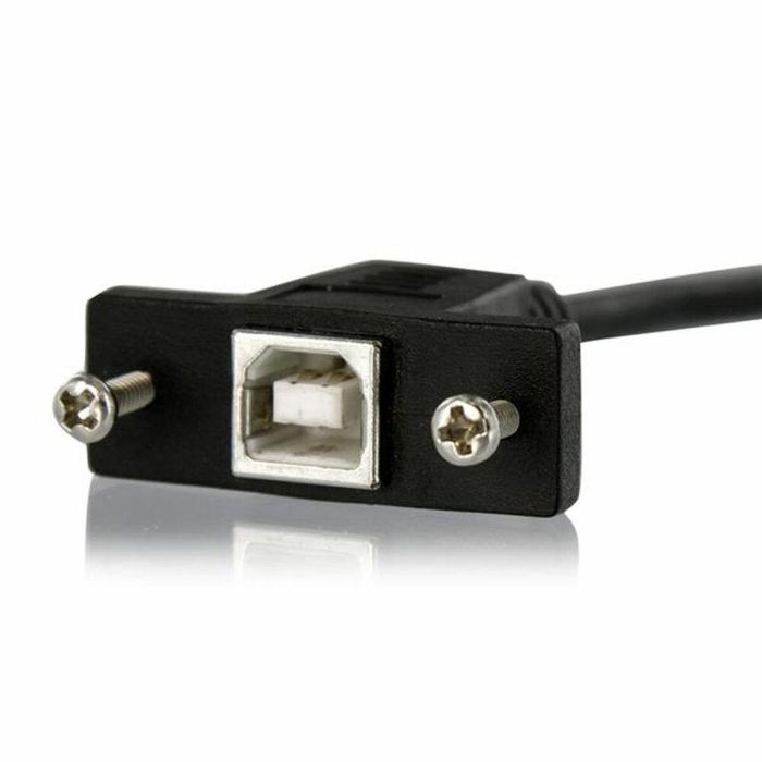 Cable USB Startech USBPNLBFBM1 USB B Negro 1 Cable USB Startech USBPNLBFBM1 USB B Negro 1