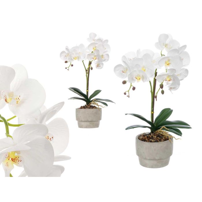 Orquidea Maceta Cemento Blanca 2 Varas Ibergarden 16X52CM (6 Unidades) Orquidea Maceta Cemento Blanca 2 Varas Ibergarden 16X52CM (6 Unidades)