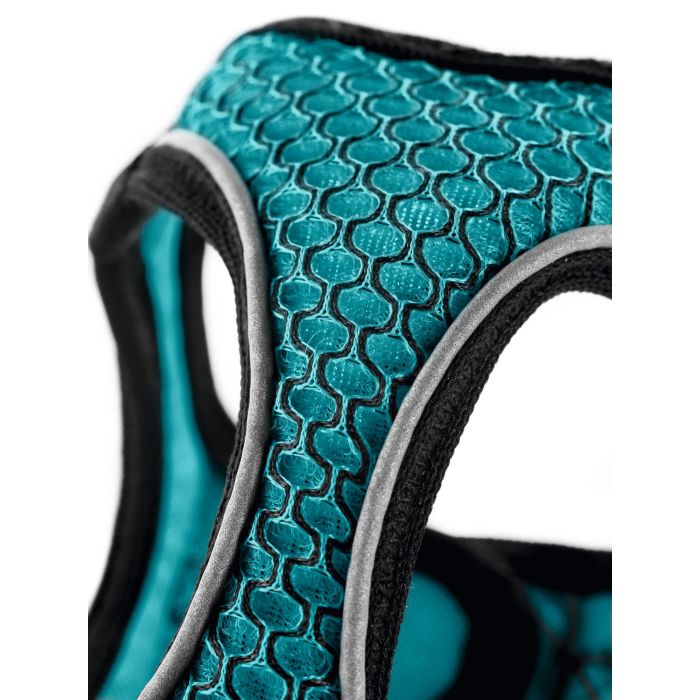Arnés Hilo Comfort XXS-XS Cuello: 30-35 cm Turquesa Arnés Hilo Comfort XXS-XS Cuello: 30-35 cm Turquesa