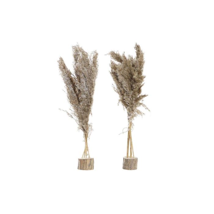 Planta Navidad Alpina DKD Home Decor Marron 25 x 55 x 35 cm (2 Unidades)
