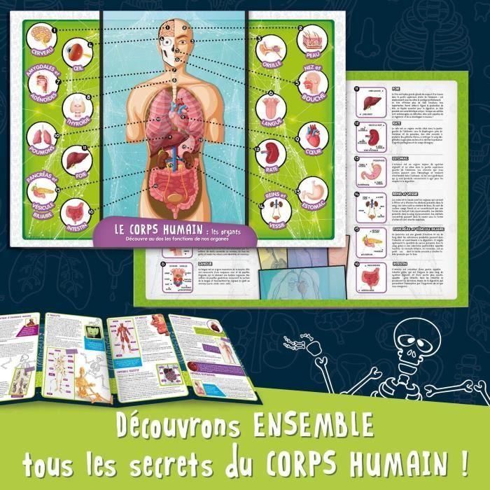 Descubrimiento del cuerpo humano - Kit científico - I'M A GENIUS POCKET - Modelo 3D 3 Descubrimiento del cuerpo humano - Kit científico - I'M A GENIUS POCKET - Modelo 3D 3