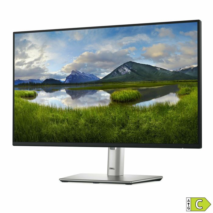 Monitor Dell P2425H 23,8" Full HD 100 Hz 7