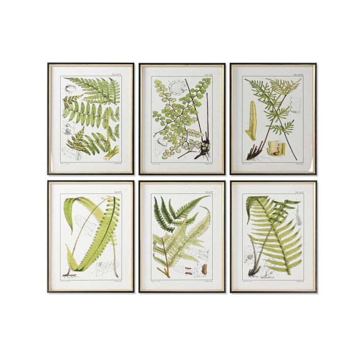DKD Home Decor Cuadro Moderno de Pared con Diseño Helecho, Negro y Dorado, Madera Abeto y Cristal, 65x50 cm, Pack de 6 Unidades 0 DKD Home Decor Cuadro Moderno de Pared con Diseño Helecho, Negro y Dorado, Madera Abeto y Cristal, 65x50 cm, Pack de 6 Unidades 0
