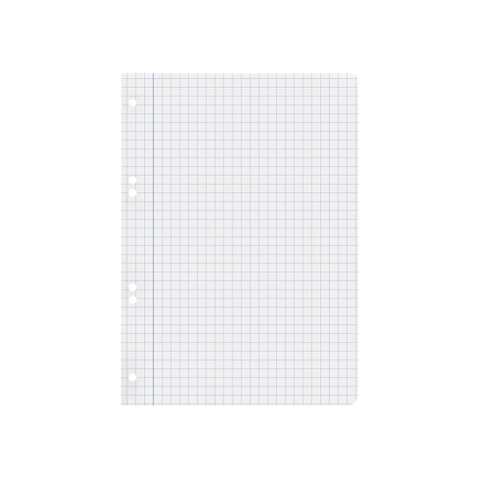 Liderpapel Recambio Cuarto 100 Hojas 60gr Cuadro 8mm Con Margen 6 Taladros 4