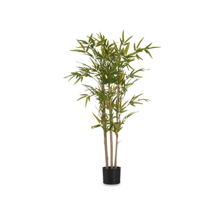 Planta con Maceta Bambú Pequeño 120 cm Ibergarden - Verde, 70x70x120 cm 1 Planta con Maceta Bambú Pequeño 120 cm Ibergarden - Verde, 70x70x120 cm 1