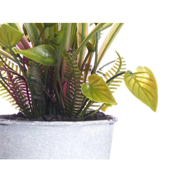 Planta Flor Abierta Bote Metal Surtidos Ibergarden 15X31CM (12 Unidades) 3 Planta Flor Abierta Bote Metal Surtidos Ibergarden 15X31CM (12 Unidades) 3
