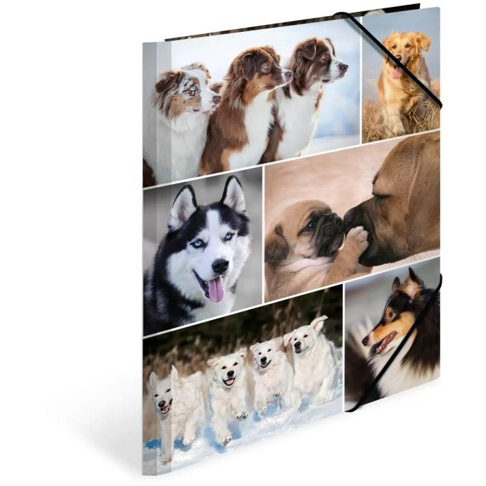 HERMA Sammelmappe A4 Hunde Pappe 1 HERMA Sammelmappe A4 Hunde Pappe 1