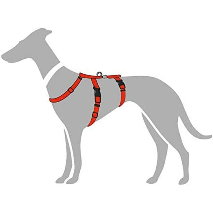 Arnés para Perro Hunter 48-70 cm Rojo S/M 36-51 cm 2