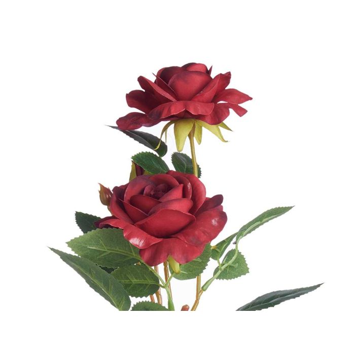 Planta Rosa Bote Metal Surtidos Ibergarden 15x36x12cm (12 Unidades) 2 Planta Rosa Bote Metal Surtidos Ibergarden 15x36x12cm (12 Unidades) 2