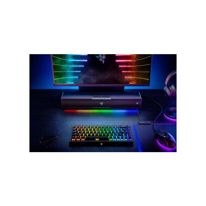 Razer Leviathan V2 Barra de Sonido Inalámbrica Bluetooth USB RGB Negro