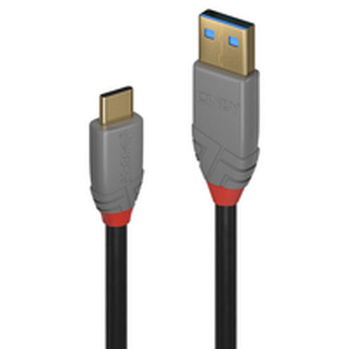 Cable USB-C LINDY 36919 3 m Negro 1