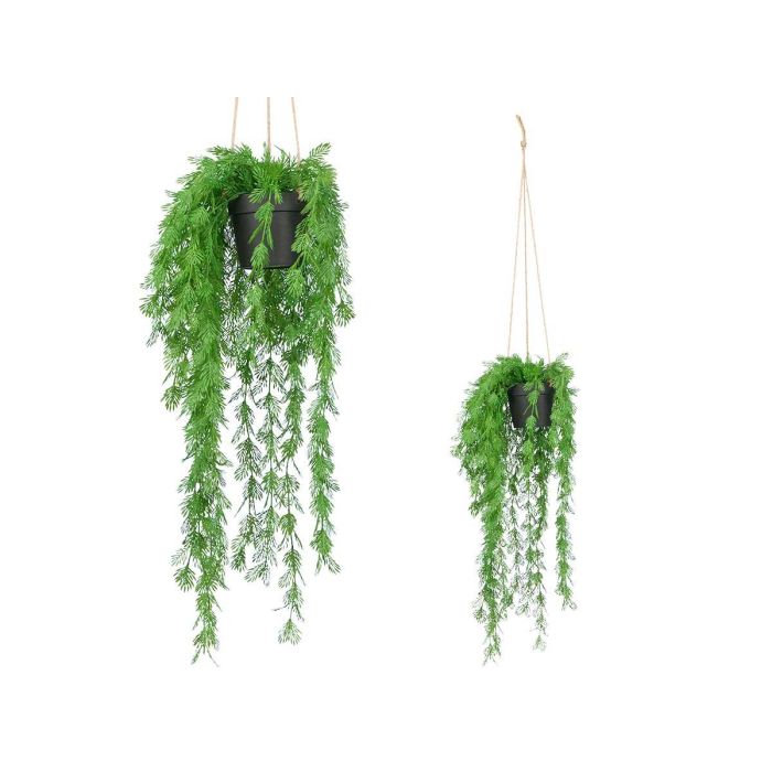 Planta Hoja Partida Colgar Grd Ibergarden 25X66CM (12 Unidades) Planta Hoja Partida Colgar Grd Ibergarden 25X66CM (12 Unidades)