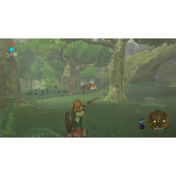 Nintendo The Legend of Zelda: Breath of the Wild Switch Game 5