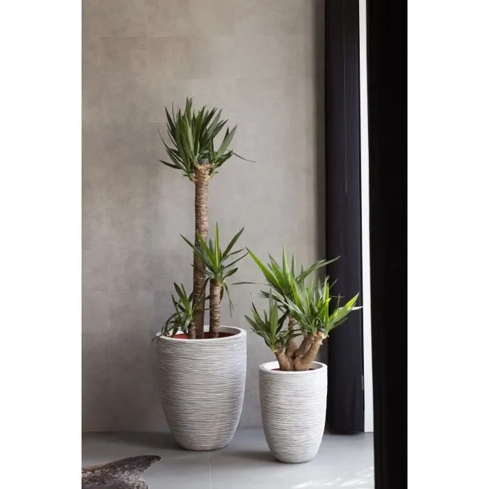 Capi Europe Maceta baja RIB NL elegante marfil 46 x 58 cm 1