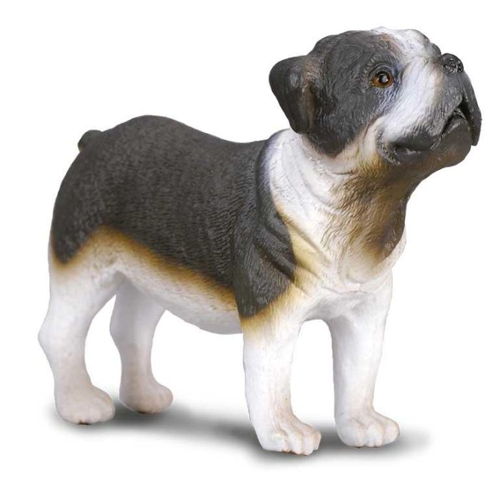 Bulldog -M- 88179 Collecta Bulldog -M- 88179 Collecta