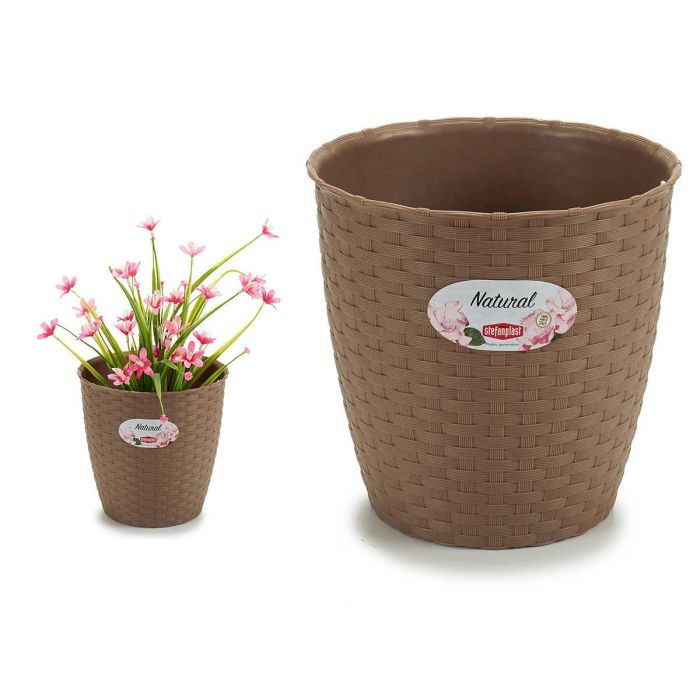 Maceta Natural Inter Exter 19 Diam Marron Stefanplast 19X17CM (12 Unidades) Maceta Natural Inter Exter 19 Diam Marron Stefanplast 19X17CM (12 Unidades)