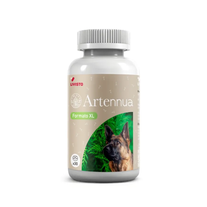 Livisto Artennua XL 30 Comp