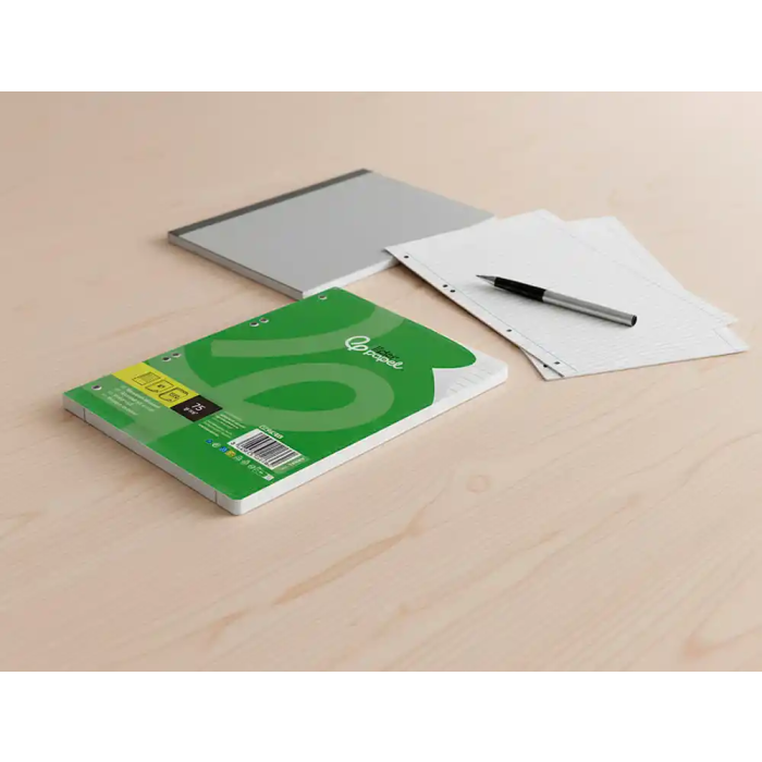 Liderpapel Recambio A5 100 Hojas 75gr Horizontal Con Margen 6 Taladros 8