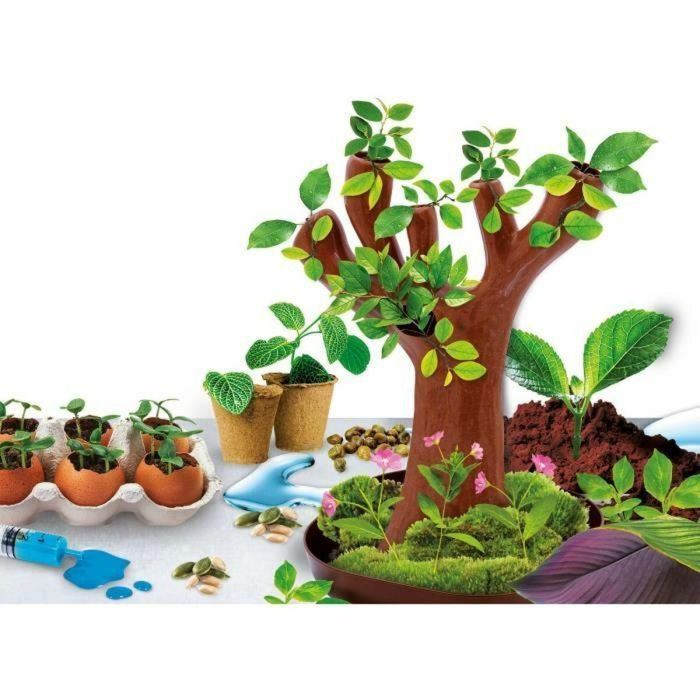 Lisciani LIS8008324099177 Génius Science Juego Científico Botánica 1 Lisciani LIS8008324099177 Génius Science Juego Científico Botánica 1