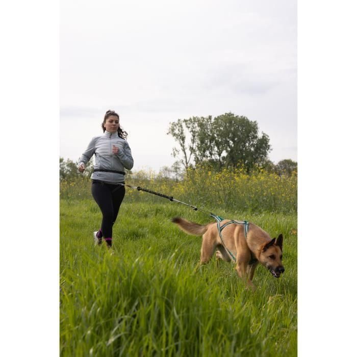 Correa de tracción para perros - CLASSICA - XL - 2,4 m - Perros hasta 25 kg 5 Correa de tracción para perros - CLASSICA - XL - 2,4 m - Perros hasta 25 kg 5