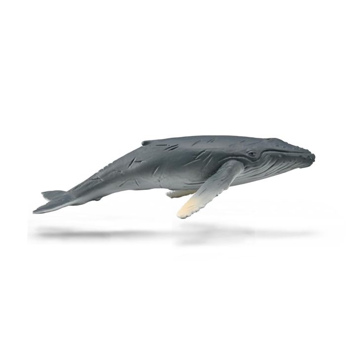 Cría De Ballena Jorobada - M - 88963 - Collecta Cría De Ballena Jorobada - M - 88963 - Collecta