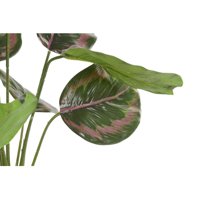 DKD Home Decor Planta Artificial Verde Rosa Polietileno (PE) 58 cm Alto (Pack 6 Unidades) 1 DKD Home Decor Planta Artificial Verde Rosa Polietileno (PE) 58 cm Alto (Pack 6 Unidades) 1