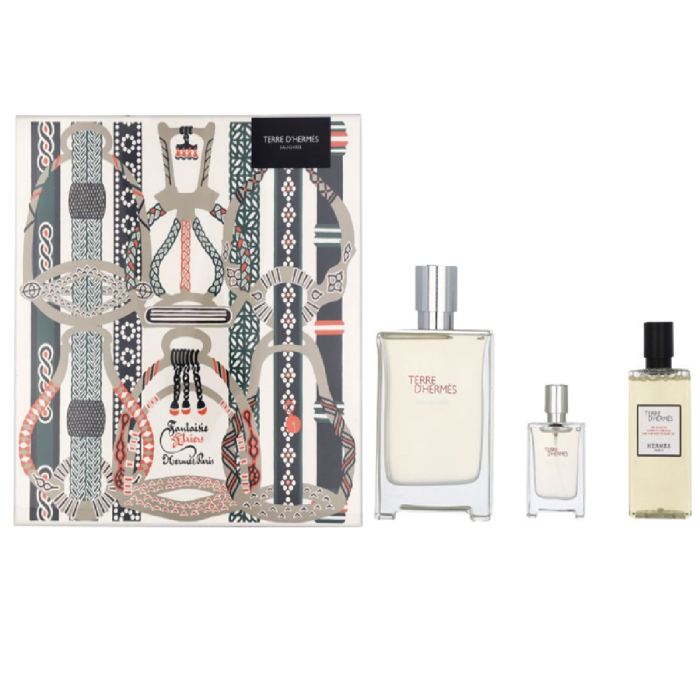 Set Hermes Terre D Hermes 100 mL Edt 12.5 mL+Asl 40 mL Xmas 22