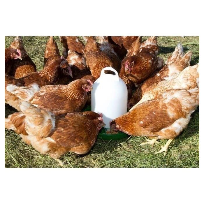 Comedero para pollos de plástico - KERBL - 24 cm - Ø30 cm - 2,5 kg - Blanco / Verde 1