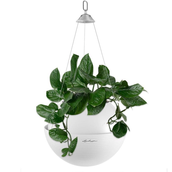 Lechuza LEC4008789168504 Maceta Bola 32 Kit Completo - Ø 32 × 25 cm - Blanco - 3 L 3 Lechuza LEC4008789168504 Maceta Bola 32 Kit Completo - Ø 32 × 25 cm - Blanco - 3 L 3