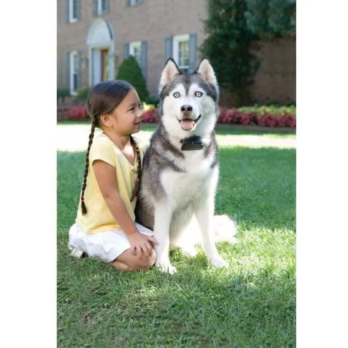 Petsafe Valla Antifuga para Perros Super Radio Fence PRF-3004XW-20 4