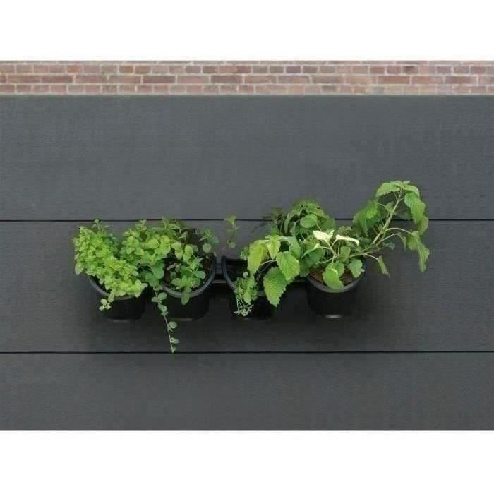 Jardinera de pared - Kit de pared compuesto por soporte de pared y 4 maceteros (1 L) - Negro - Dim A 15 x L 60 cm - NATURE 5 Jardinera de pared - Kit de pared compuesto por soporte de pared y 4 maceteros (1 L) - Negro - Dim A 15 x L 60 cm - NATURE 5