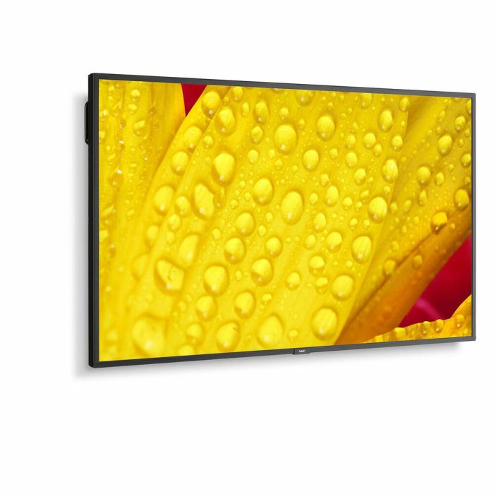Monitor NEC 60005048 43" 4K Ultra HD LED 43" IPS 50-60 Hz Monitor NEC 60005048 43" 4K Ultra HD LED 43" IPS 50-60 Hz